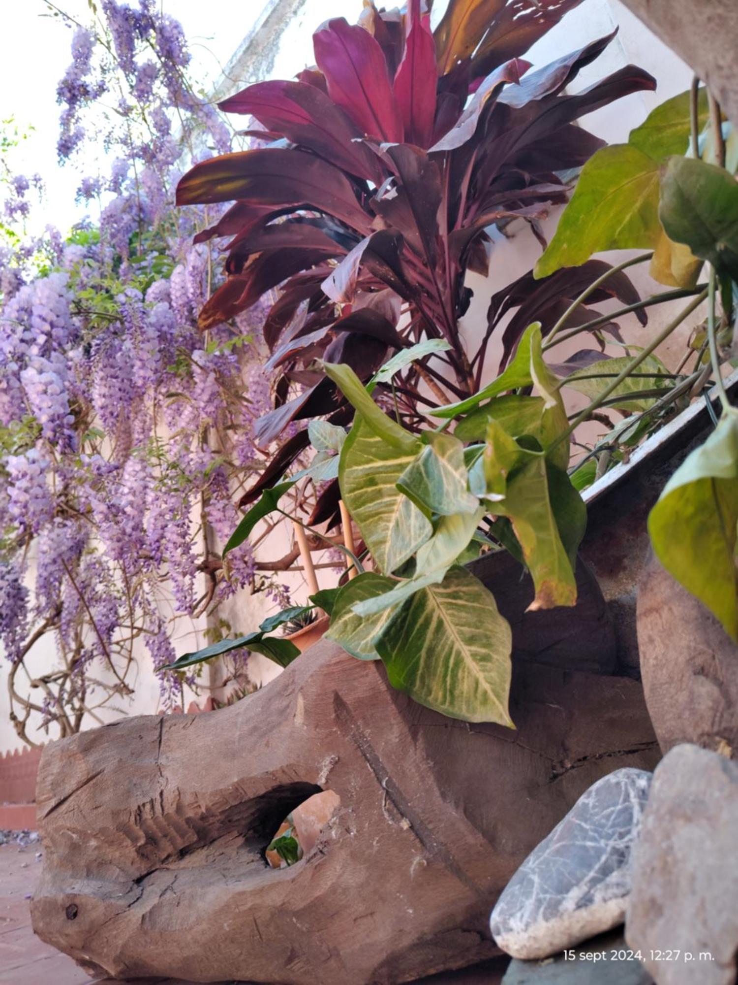 Villa Casa Kuyay San Salvador de Jujuy Exterior foto